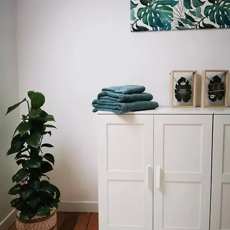 60m2 Confort ארקוי